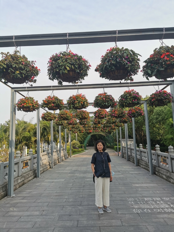 一叶知秋的第一张照片--福建认干亲服务网